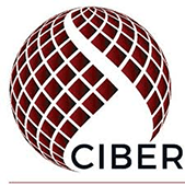 Ciber Network